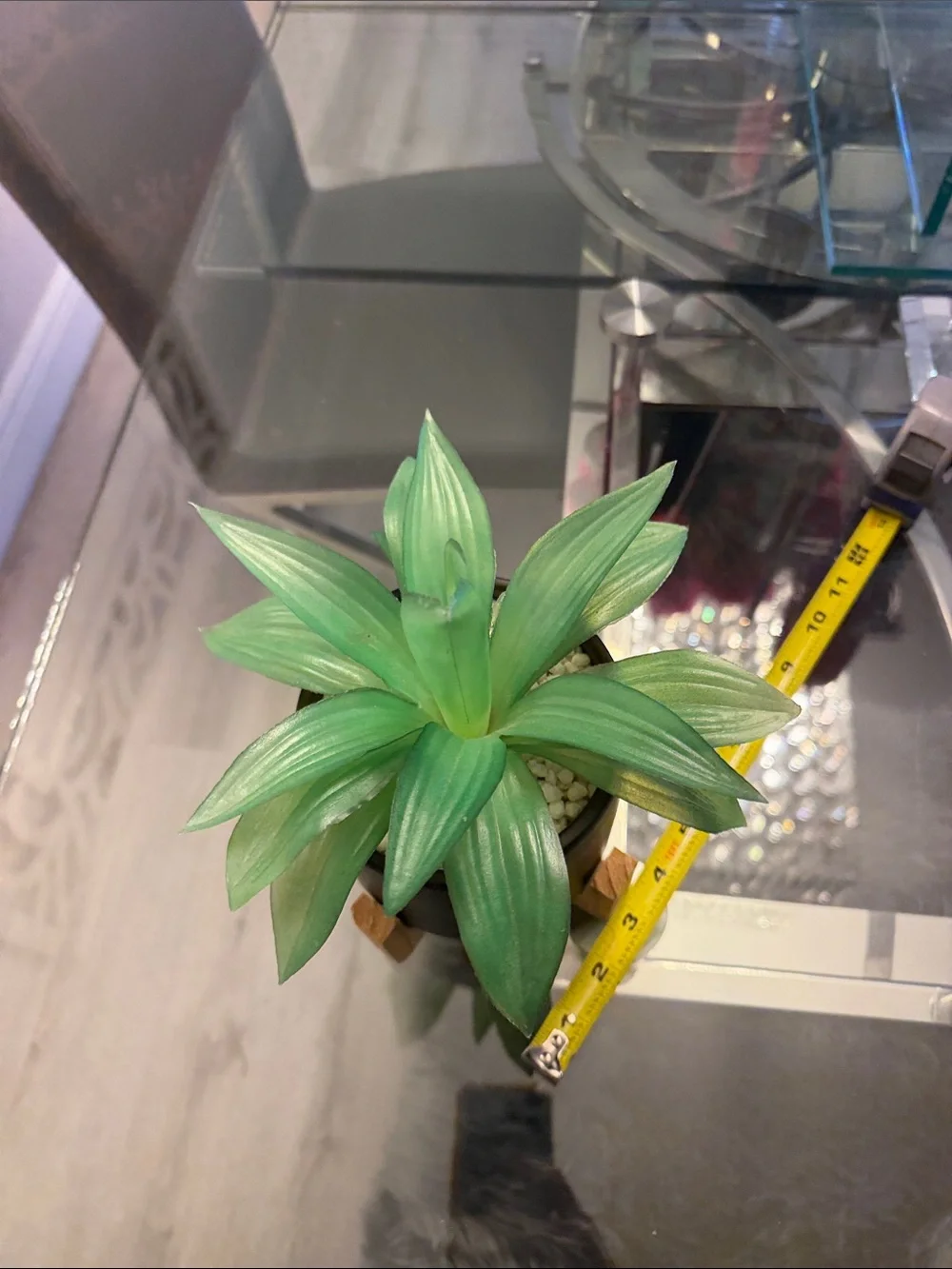 Artificial Green Succulent in Black Ceramic Pot with Wooden Stand